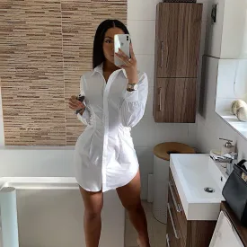 Pleated Waist Cotton Long-sleeved Shirt Dress